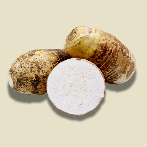 Macabo blanc / Coco Malanga