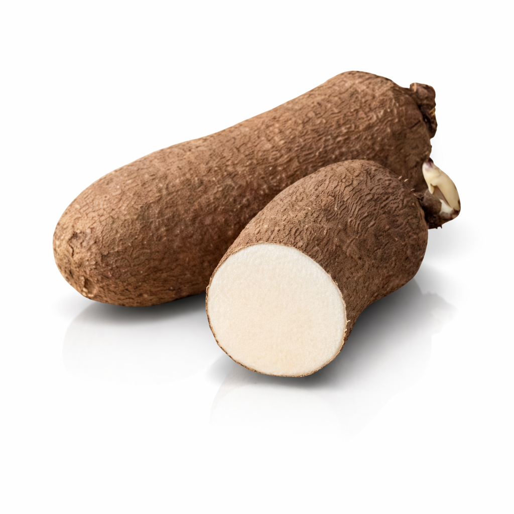 Igname blanc du Ghana la pièce (1,5-2,5kg)