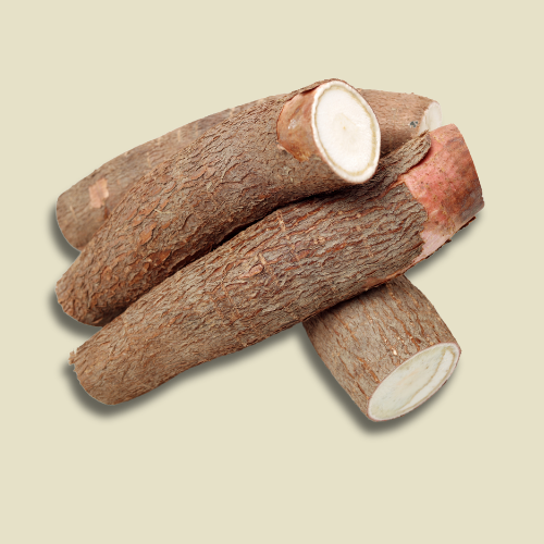 Manioc