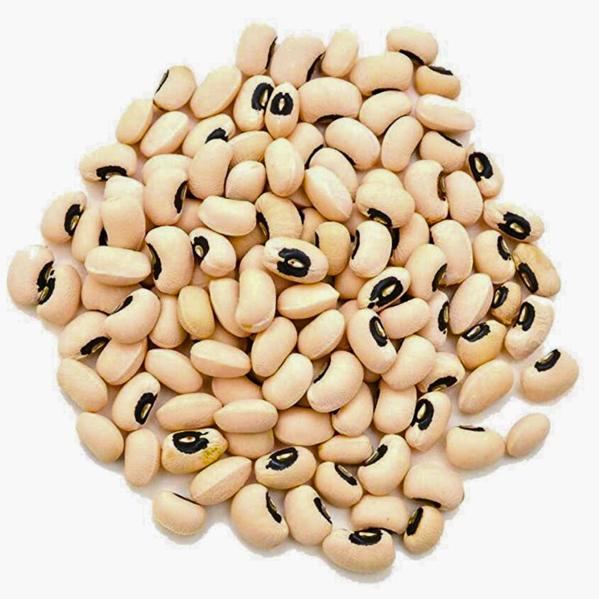 Haricot blanc 500g