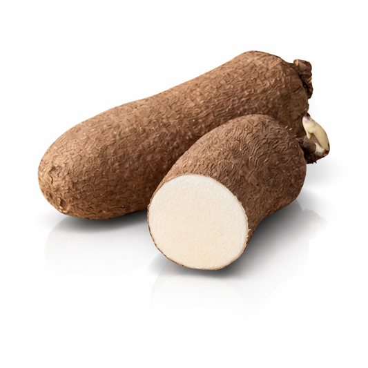 Igname blanc du Ghana la pièce (1,5-2,5kg)