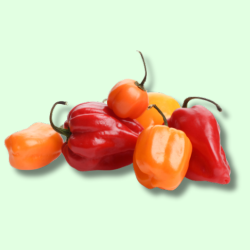 Piment antillais