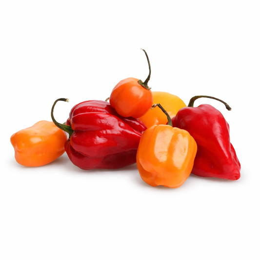 Piment antillais