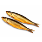Sardine Fume/Mangni 500g