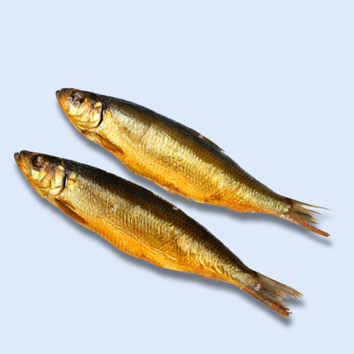 Sardine Fume/Mangni 500g