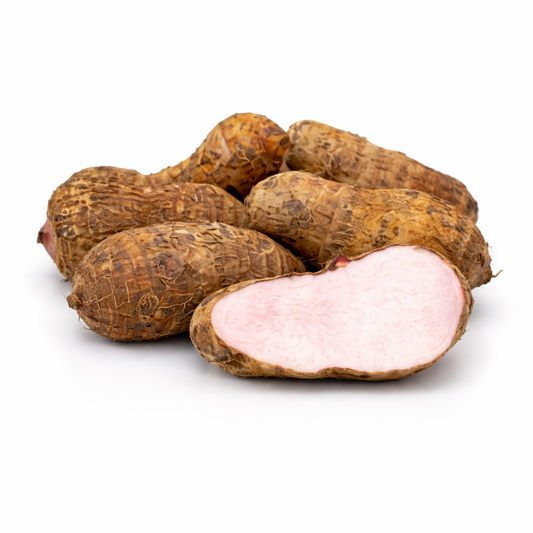 Dachine / Taro